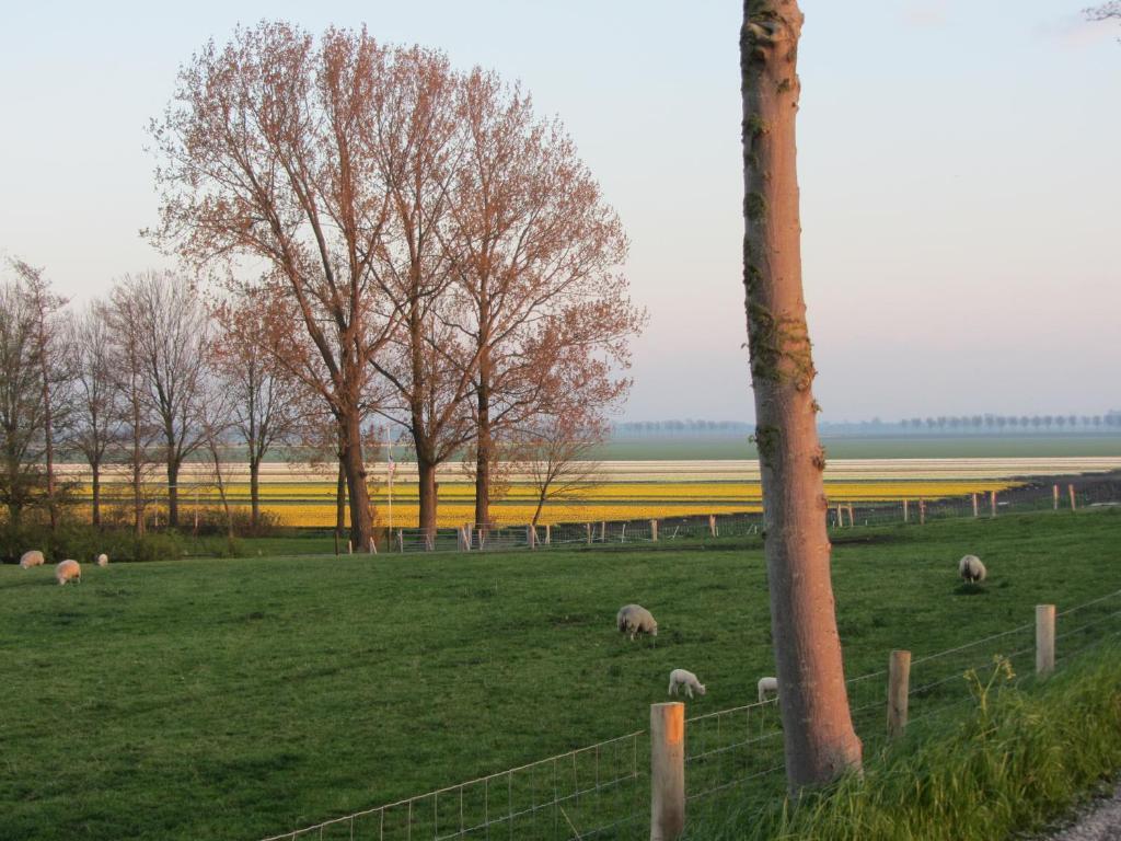 Bed En Breakfast In Het Fruit Zuidoostbeemster Exterior foto